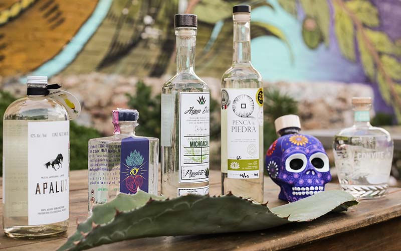 Mesa de madera con diferentes botella de alcohol de mezcal, tequila, raicilla