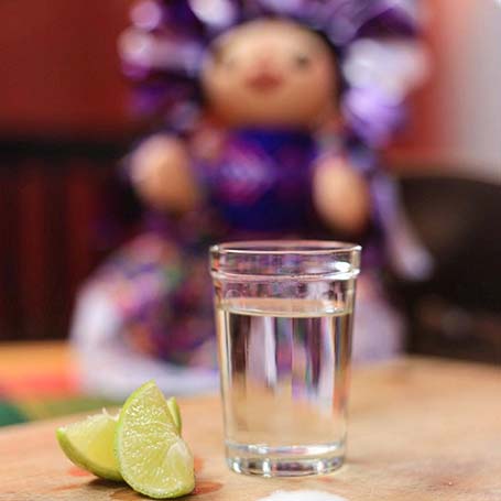 ¿Mezcal o Tequila?