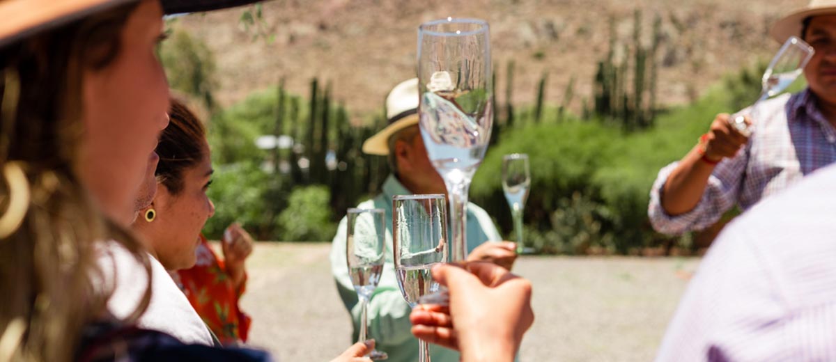 Tour de cata de mezcal o tequila