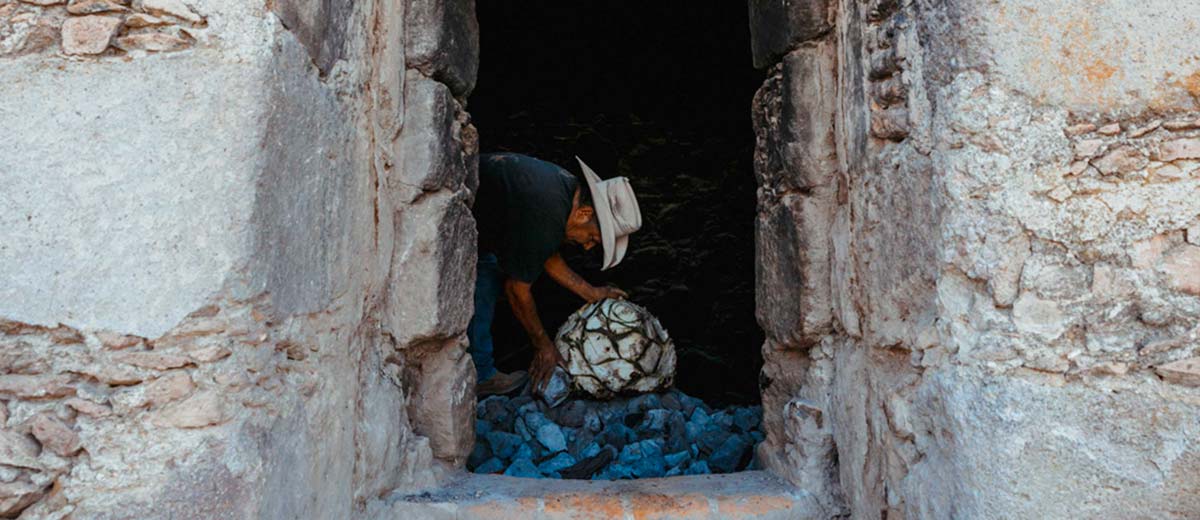 Persona trabajando en proceso de destilación para la producción de agave