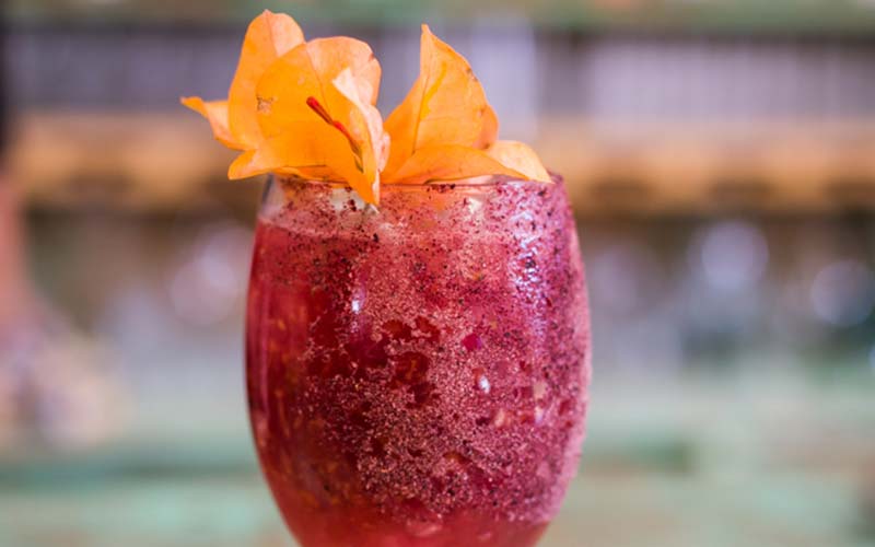 Bebida gourmet tequilera preparada con jamaica y frutos rojos