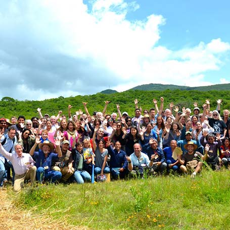 Regeneration international